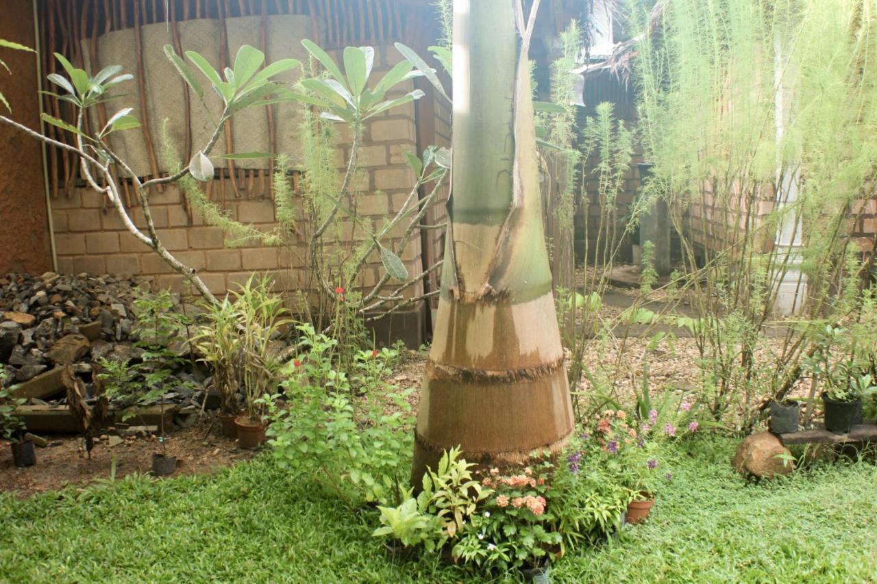 The Mango Leaf Hotel Matara Kültér fotó